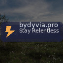 bydyvia.pro
